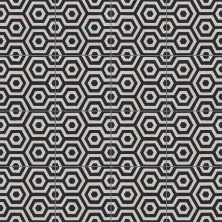Carreaux de ciment modèle Hexa Style