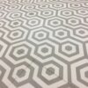 Carreaux de ciment DH-48-1