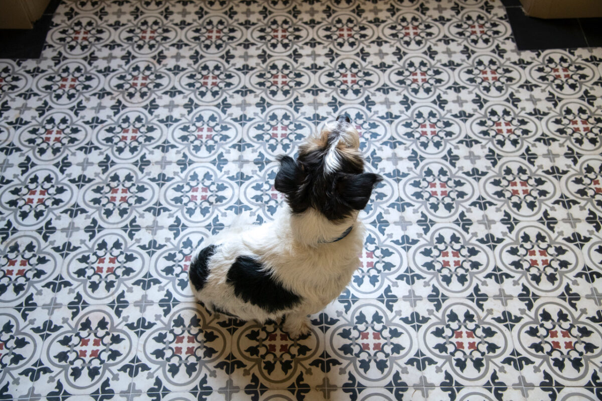 Carreaux de ciment rouge au sol Marquise