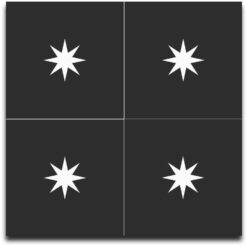 Carreaux de ciment Star noir